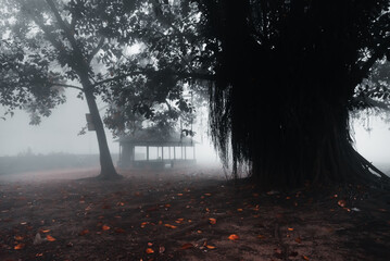 Misty morning gazebo in a foggy forest