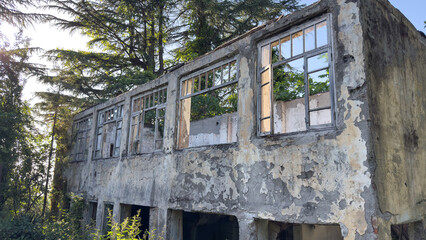 Fototapeta premium abandoned, crumbling building overtaken by nature. Sunlight peeks through the trees and broken windows, casting shadows on the peeling facade.
