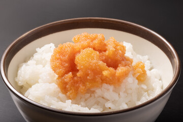 数の子　明太子　ごはん