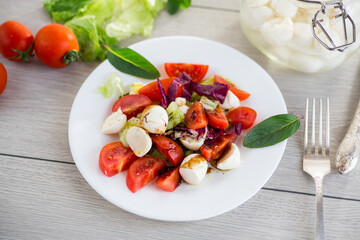 Delicious summer salad with leaves and mozzarella