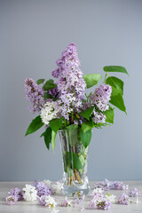 beautiful bouquet of lilacs in a vase on a gray background