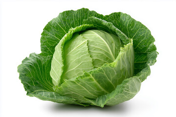 A large green cabbage is sitting on a white background. The cabbage is the main focus of the image and it is fresh and healthy. The white background provides a clean