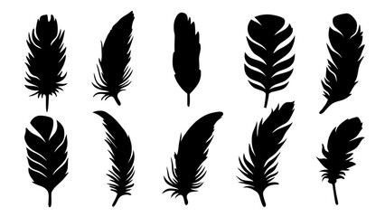 set of feathers silhouette vector on tranparent background