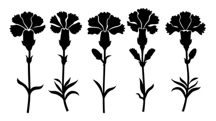 Carnation set silhouette vector bundle