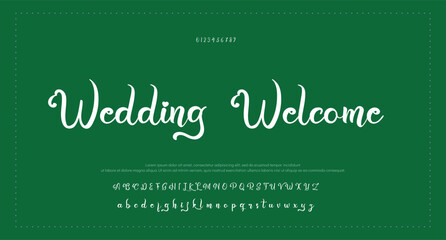 Signature Font Calligraphy Logotype Script Font Type Font lettering handwritten 