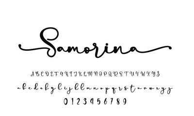 handwrite signature font Calligraphy Logotype Script Brush Font Type Font lettering handwritten 