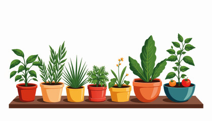 Obraz premium Vibrant indoor garden with assorted plants on wooden shelf, urban greenery