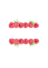 Watercolor raspberry borders with ripe red berries. hand-painted horizontal dividers for summer design, food packaging, labels, invitations, or organic product decoration. isolated on white