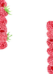 Watercolor raspberry borders with ripe red berries. Hand painted vertical stripes on the edges for summer design, food packaging, labels, invitations or organic product decoration. Isolated on white