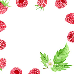 Watercolor raspberry frame with ripe berries, green leaves and white flower. Hand painted summer fruit frame on white background. Botanical composition for label, logo or invitation design