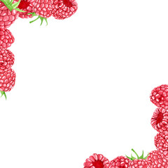 Watercolor raspberry square frame with ripe, juicy berries in the corners. Hand painted summer fruit frame on white background. Botanical composition for label, logo or invitation design