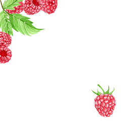 Watercolor raspberry square frame with ripe, juicy berries and leaves in one corner, and one raspberry in the other corner. Botanical composition for label, logo or invitation design