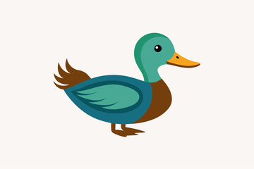 duck on white background