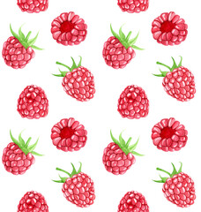 Seamless watercolor pattern with bright and juicy raspberries with stems. Botanical illustration on white background. Suitable for background, fabric, invitations and labels.