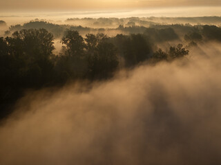 Aerial View of Sunrise and Morning Mist Over a Lowland Forest Landscape