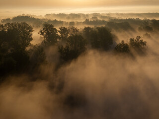 Aerial View of Sunrise and Morning Mist Over a Lowland Forest Landscape