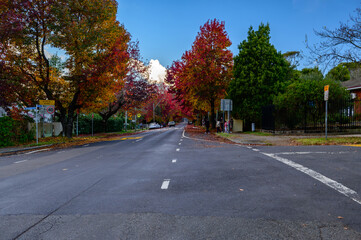 Blackheath is a town located near the highest point of the Blue Mountains, between Katoomba and Mount Victoria in New South Wales, Australia. 