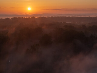 Aerial View of Sunrise and Morning Mist Over a Lowland Forest Landscape