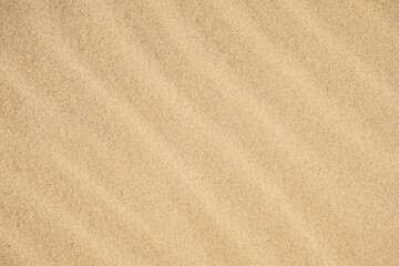 View on the sand dunes. The texture of sand