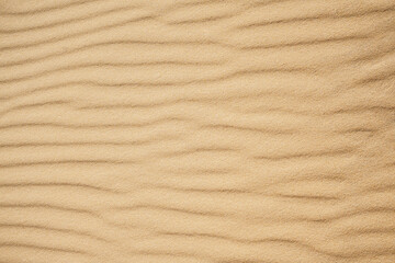 View on the sand dunes. The texture of sand