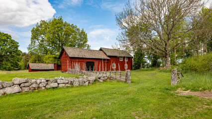 A typically red wooden house and barn in a Swedish summer landscape