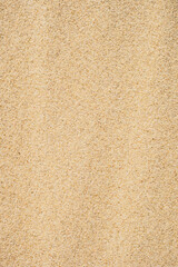View on the sand dunes. The texture of sand