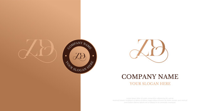 Initial ZD Logo Design Vector 