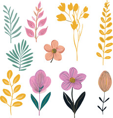 Wild herbs with flowers in a white background 