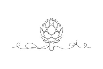Single line drawing of an artichoke vegetable