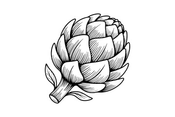 Engraved artichoke illustration botanical line art