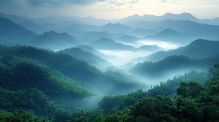 Misty Mountain Range Landscape Serene Environment Dense Forest Lush Vegetation Panoramic View Natural Beauty Scenic Wonders Artistic Vision