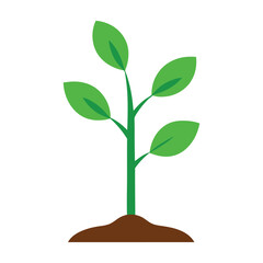 Young plant growing from a tree with leaves in a natural eco-friendly design