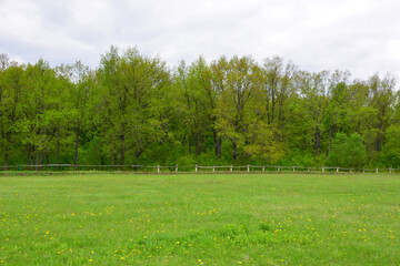 A vibrant green meadow and forest landscape under a cloudy sky
