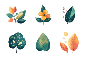 Six unique botanical elements isolated on transparent background