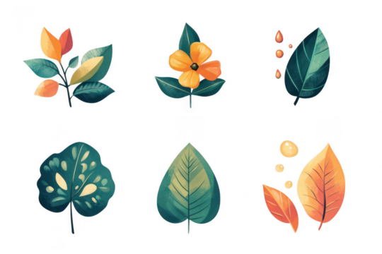 Six unique botanical elements isolated on transparent background