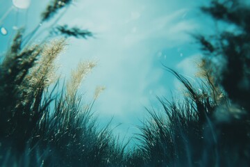 Underwater view of aquatic grass swaying in the gentle currents of a clear water environment, Loading Graphic On Fuzzy Screen