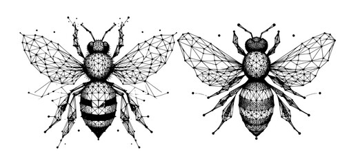 Polygonal Wireframe Bee Vector