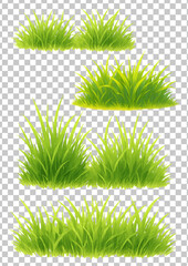 Green grass nature illustration painting