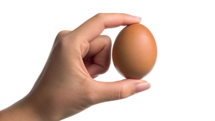 Hand holding a single brown egg isolated on a white background