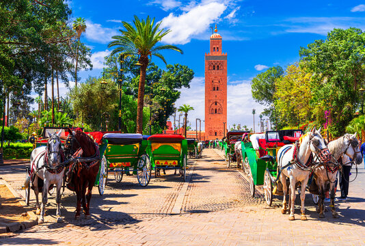 Marrakesh, Morocco: Beautiful view of the horse carriages in front of the Koutoubia Mosque minaret at Medina quarter from Jemaa el-Fnaa