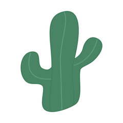 nature cactus element ornament