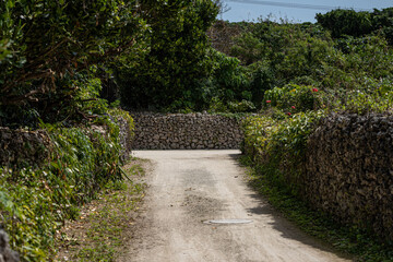 One of the sand paths without people or traffic in the village of Taketomi island surrounded by lush vegetation and coral walls outdoor at daytime in Okinawa Prefecture in Japan.