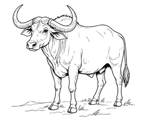 Cute buffalo Illustration Coloring Book