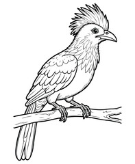 Obraz premium Cute hoatzin bird Illustration Coloring Book