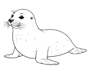 Cute seal Illustration Coloring Book
