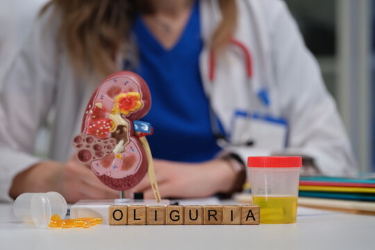 Delve into the critical concept of oliguria, emphasizing kidney health alongside its significant clinical implications