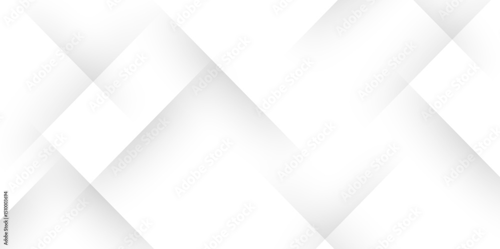Poster elegant abstract background with grey lines with shadow. modern abstract gray line light dynamic sha