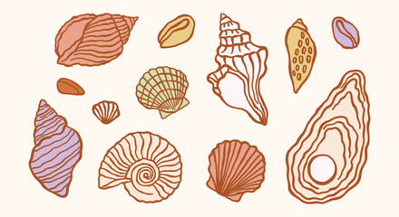 Underwater ocean shells vintage minimalist retro illustrations set. Seashells vector doodles