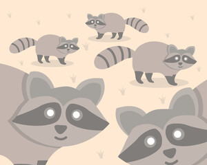 set of funny raccoon animals