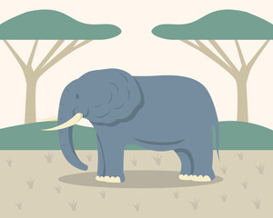 elephant in the park